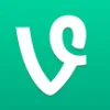Vine