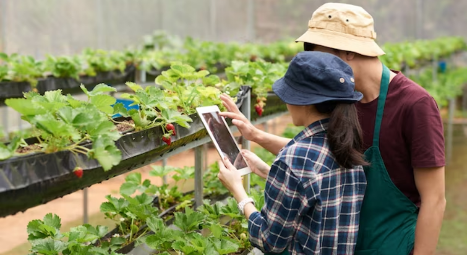 A Beginner's Guide to DeFi Yield Farming
