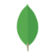 MongoDB