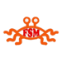 FSM