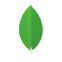 MongoDB Development
