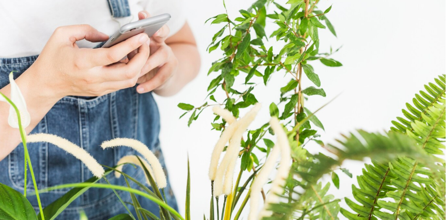 Top 10 RV Rental Apps [2024]