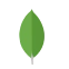 MongoDB