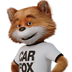 CARFAX Car Care