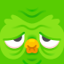 Duolingo: Language Lessons