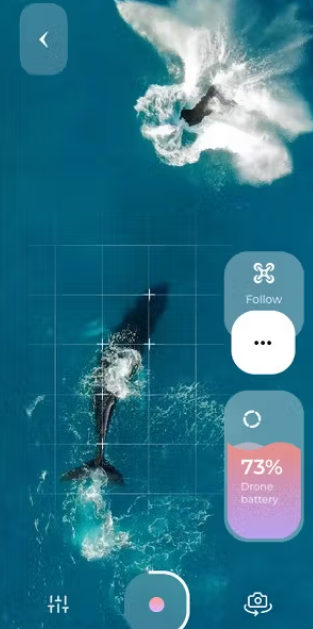 Dev Technosys