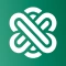 App Like Ask AI