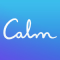App Like Garmin Pilot