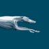 Greyhound