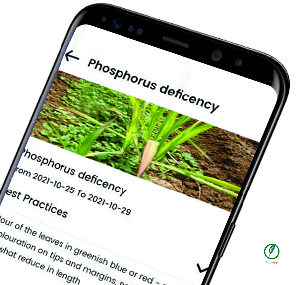 Dev Technosys